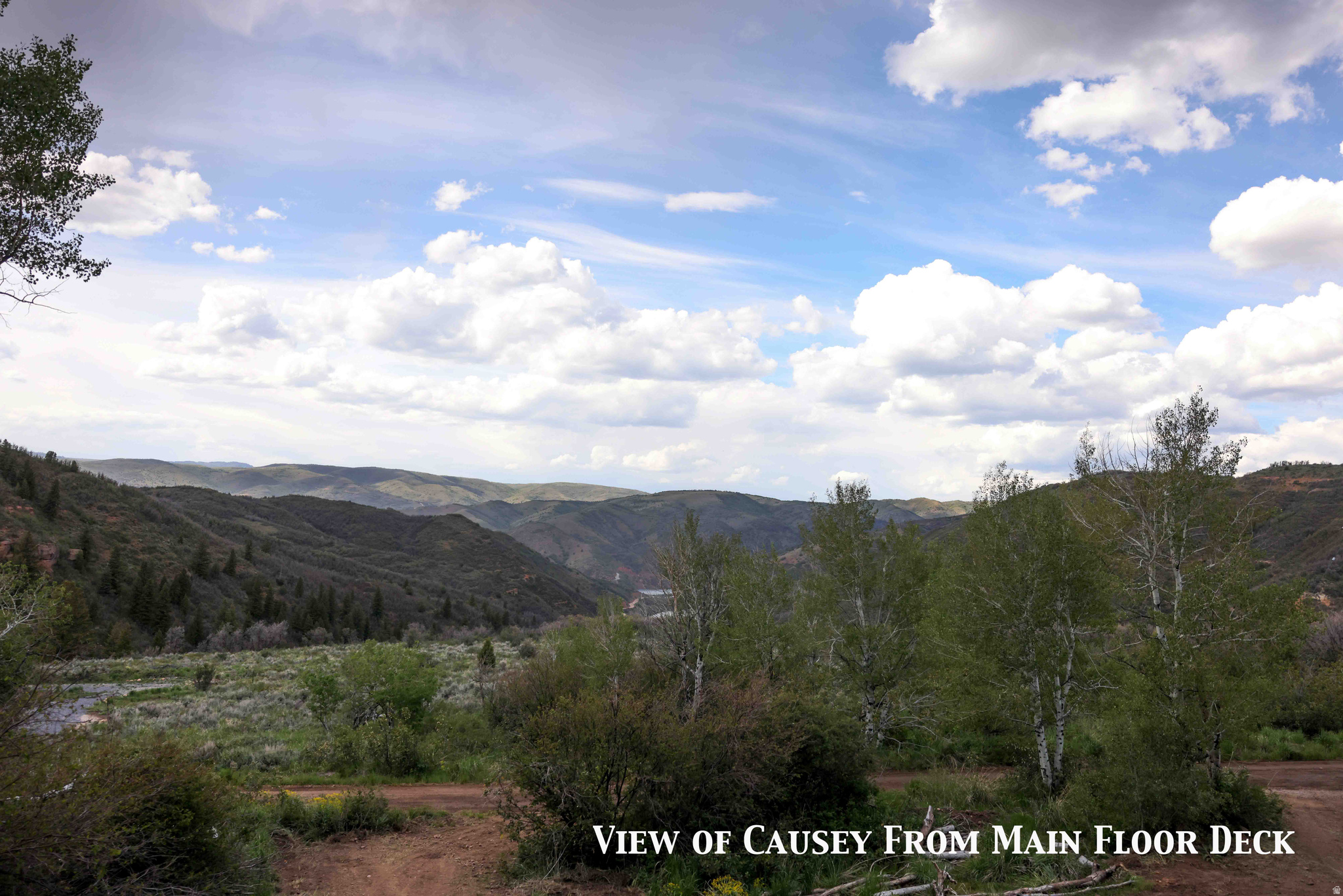 CAUSEY ESTATES - Land