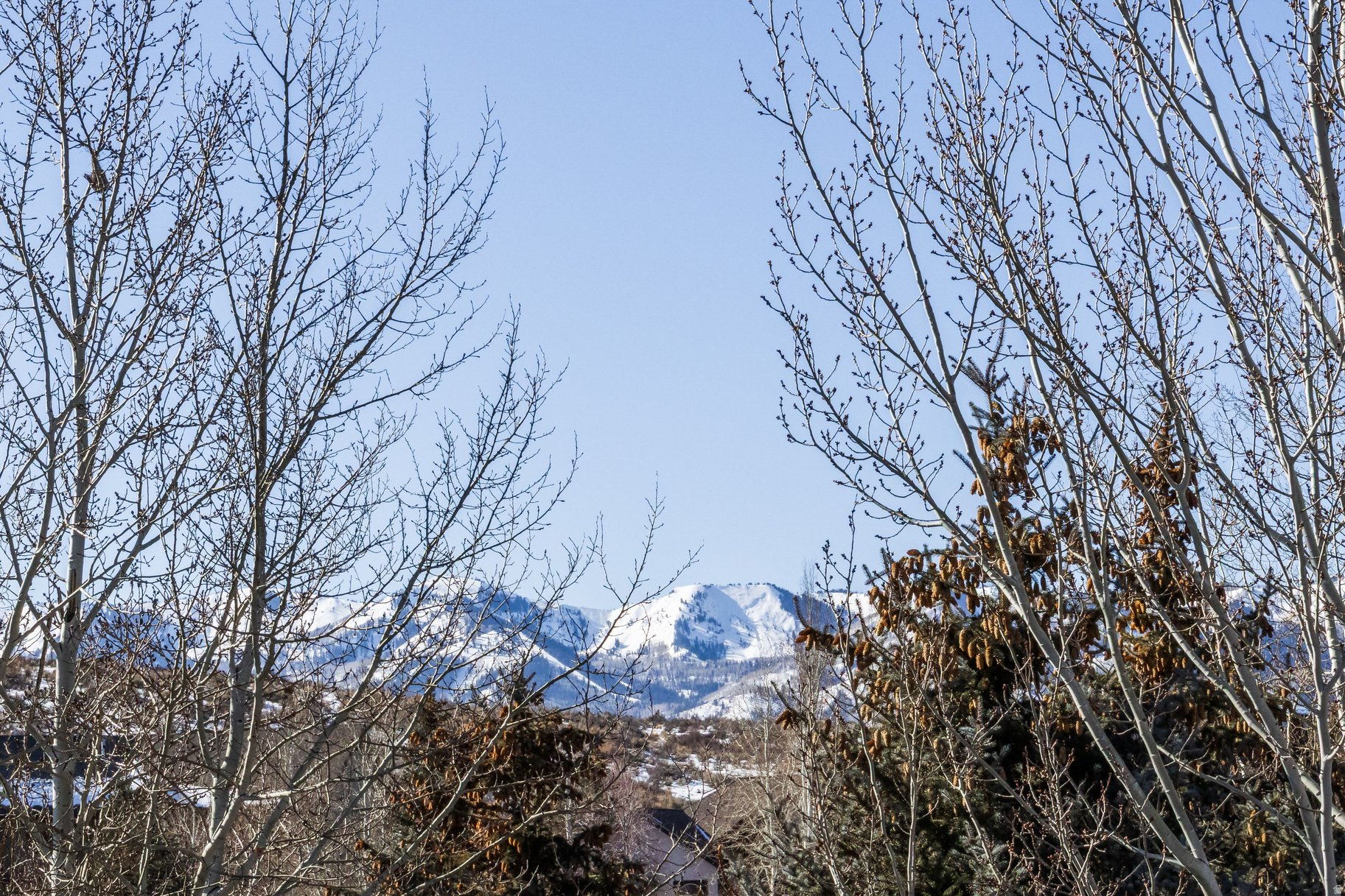 TRAILSIDE PARK - Residential