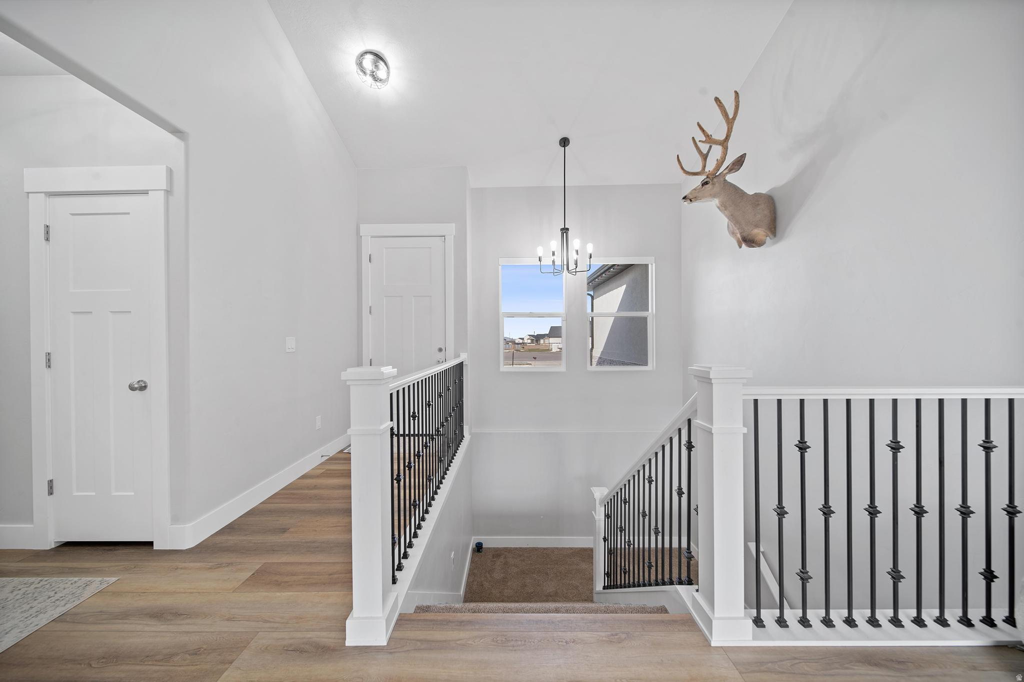 BRIDLE WALK - Residential