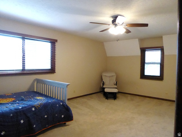 MOUNT LOGAN - Residential