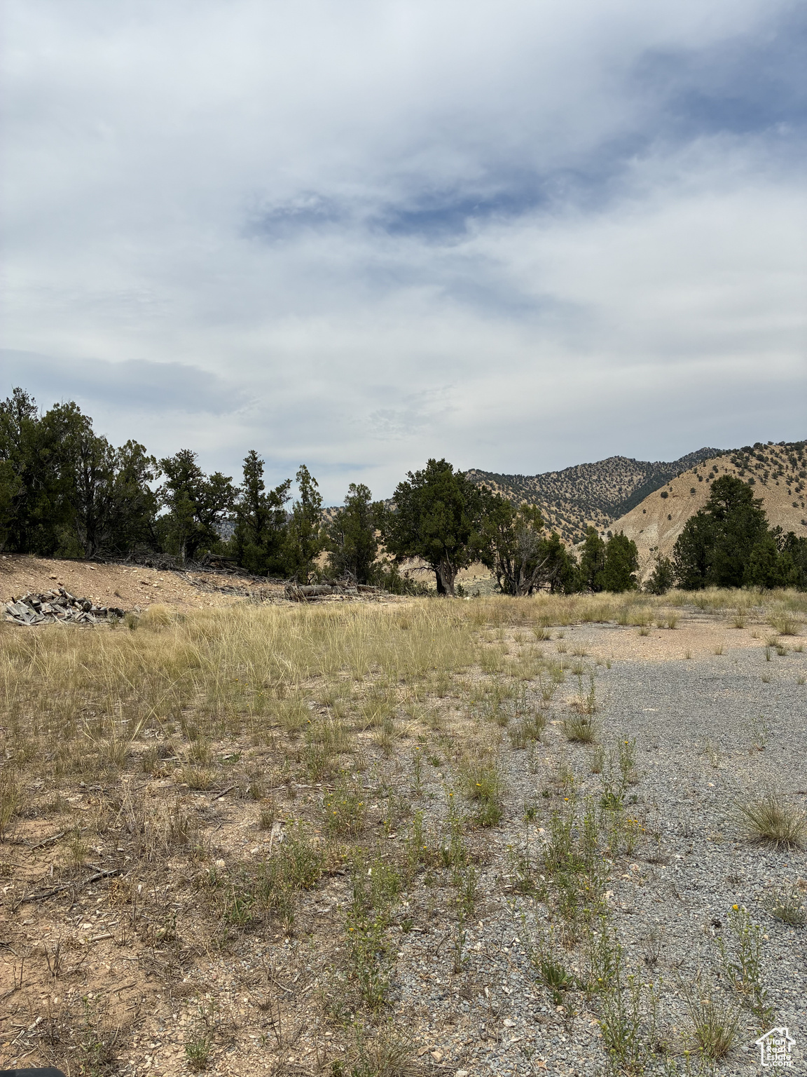 CARTER MINOR SUB - Residential