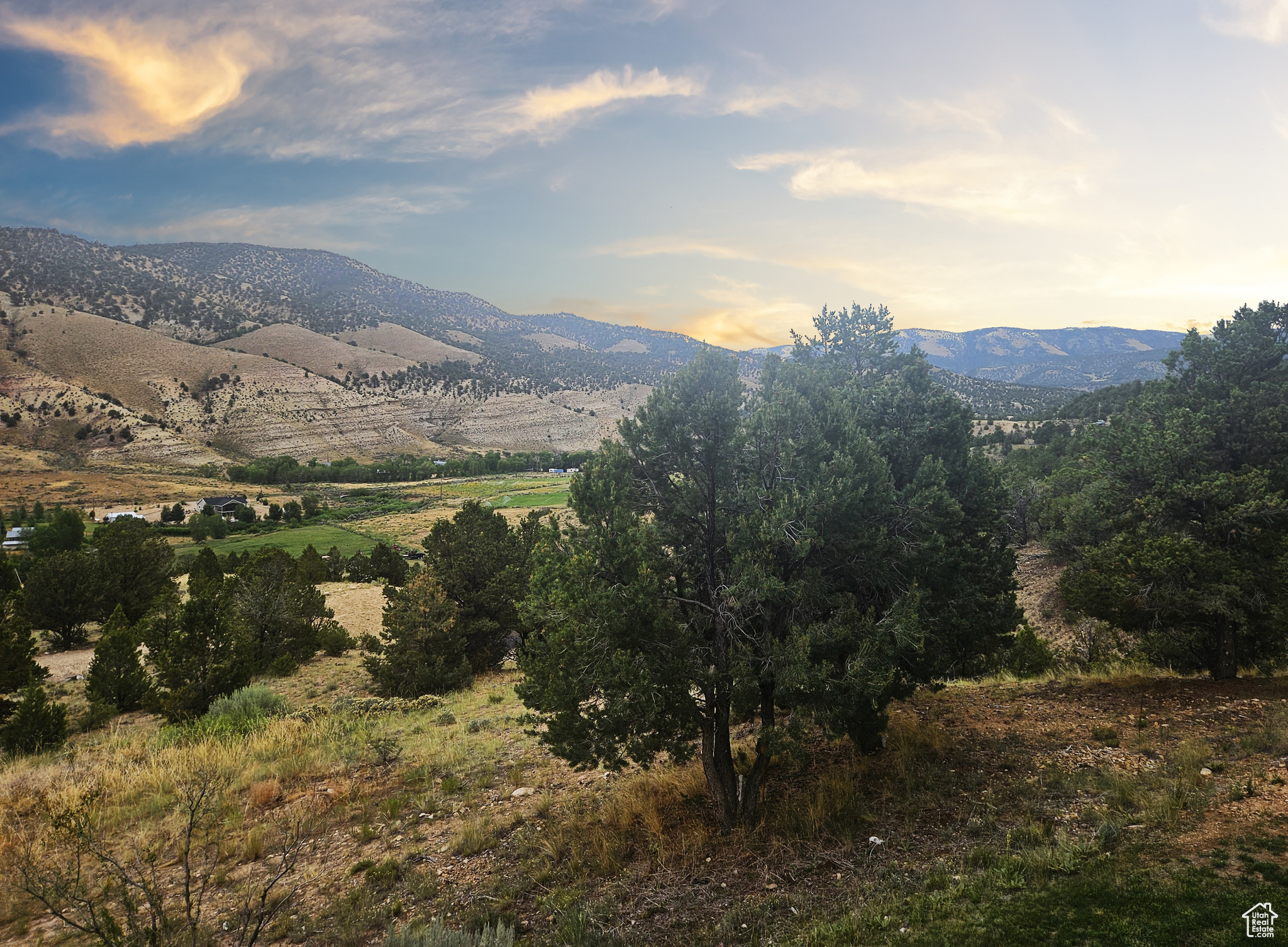 CARTER MINOR SUB - Residential