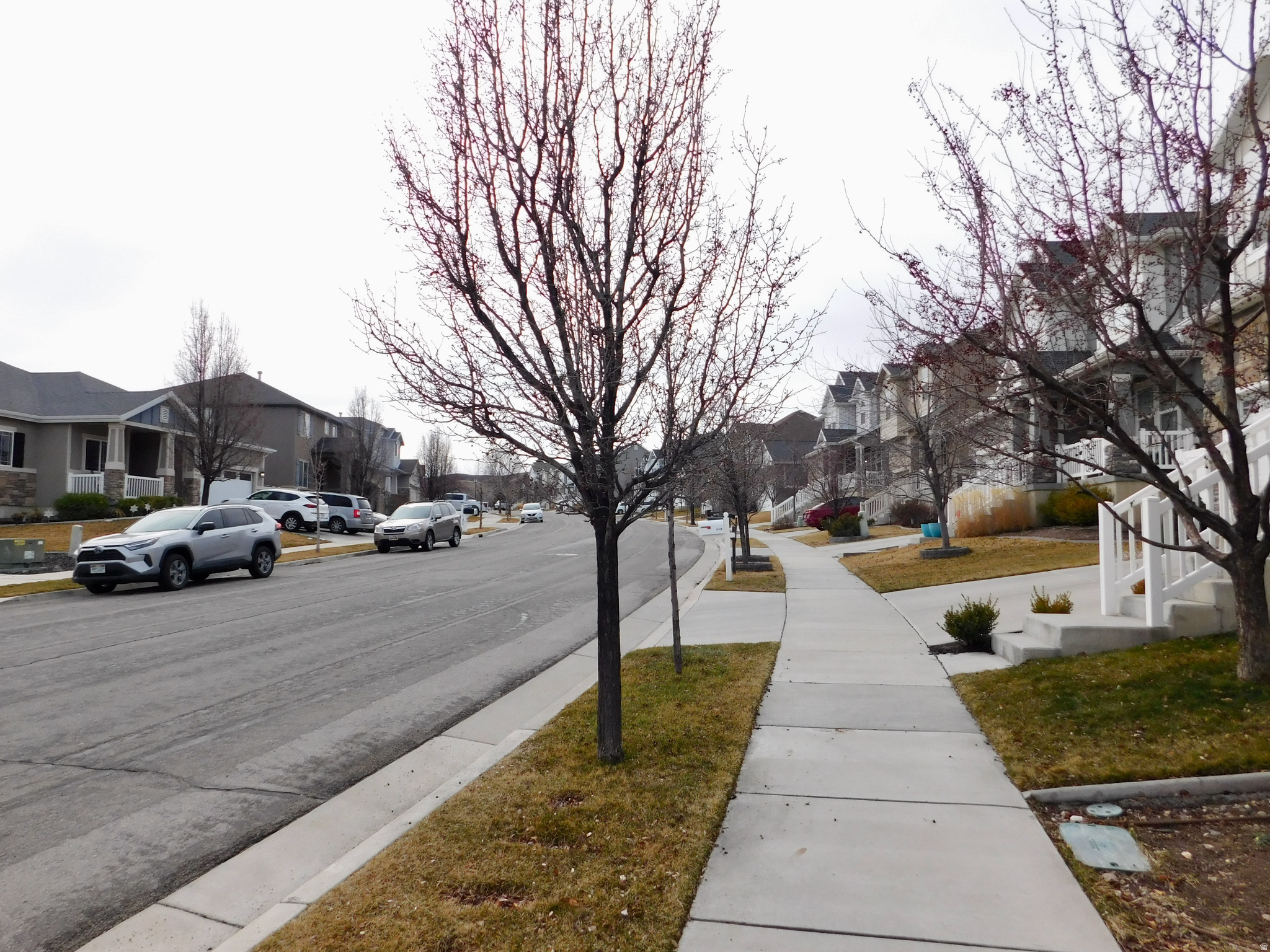 ROSECREST - Residential