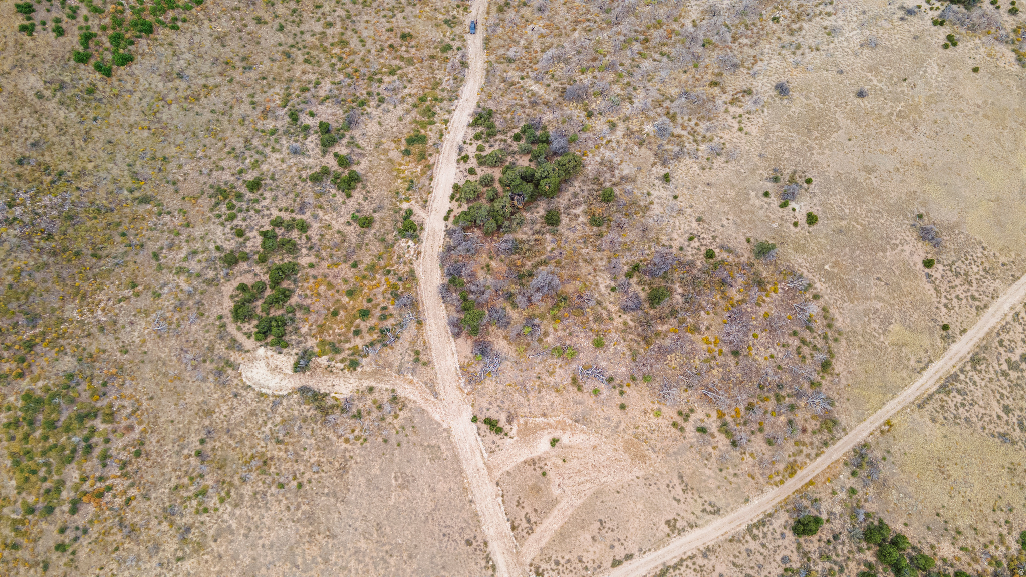 STRAWBERRY PROPERTIES - Land