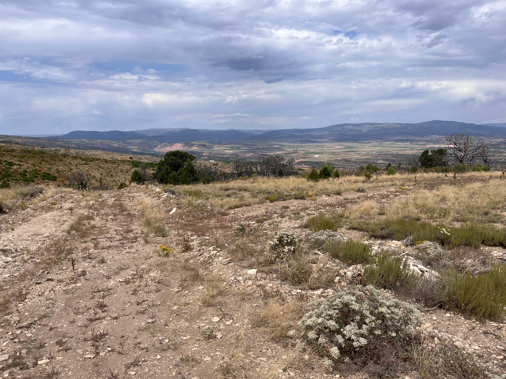 STRAWBERRY PROPERTIES - Land