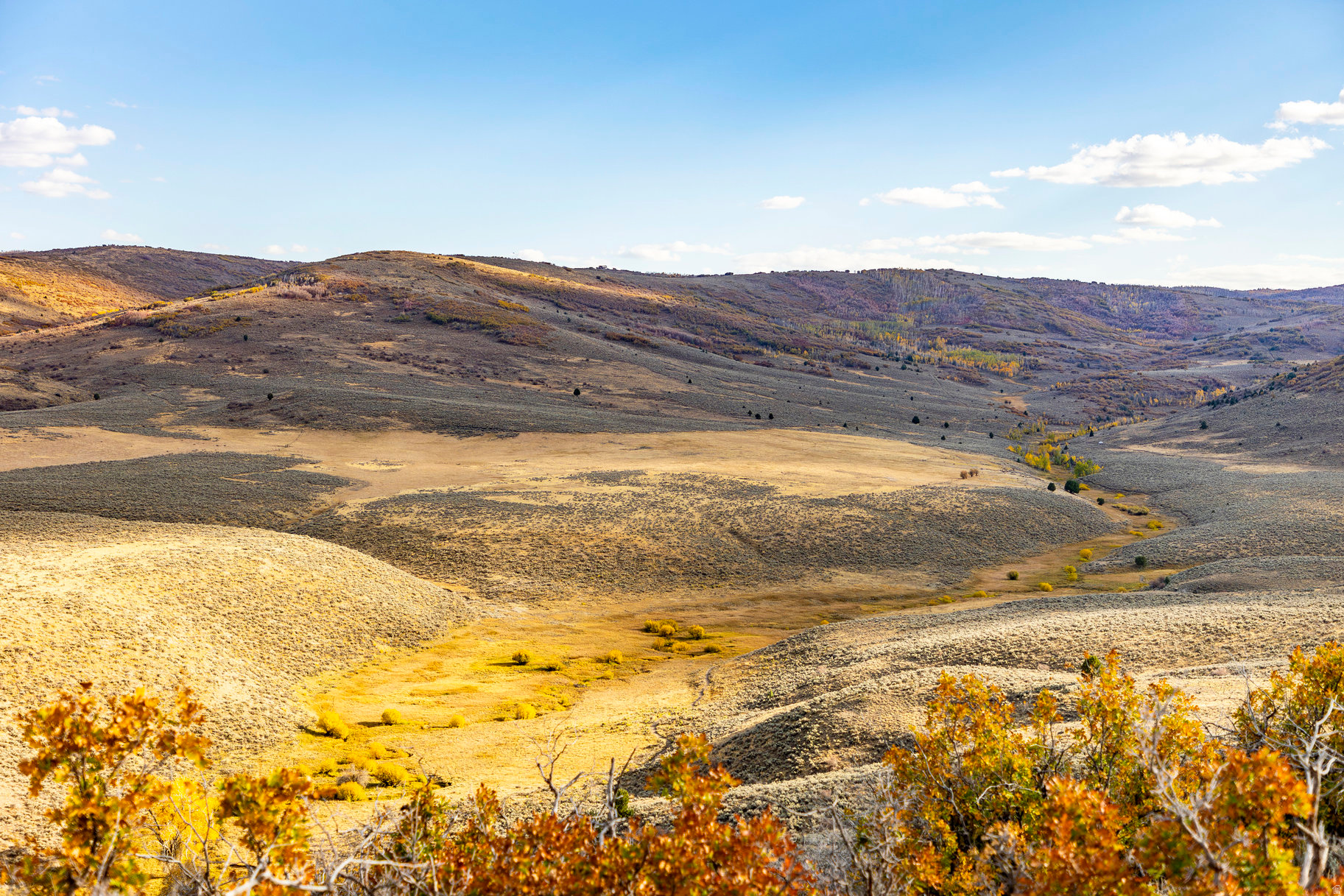 VICTORY RANCH - Land