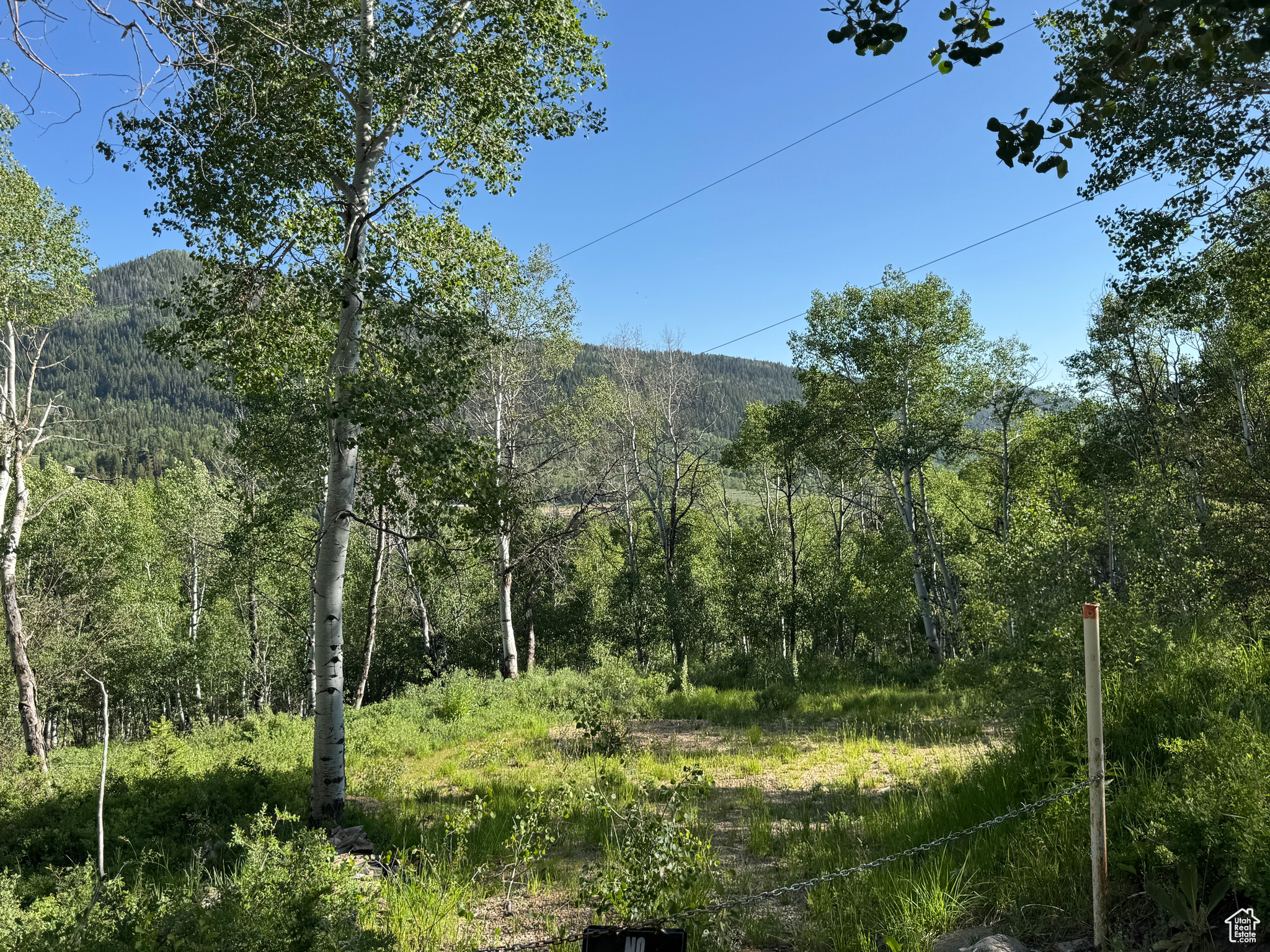 BEAVER SPRINGS - Land