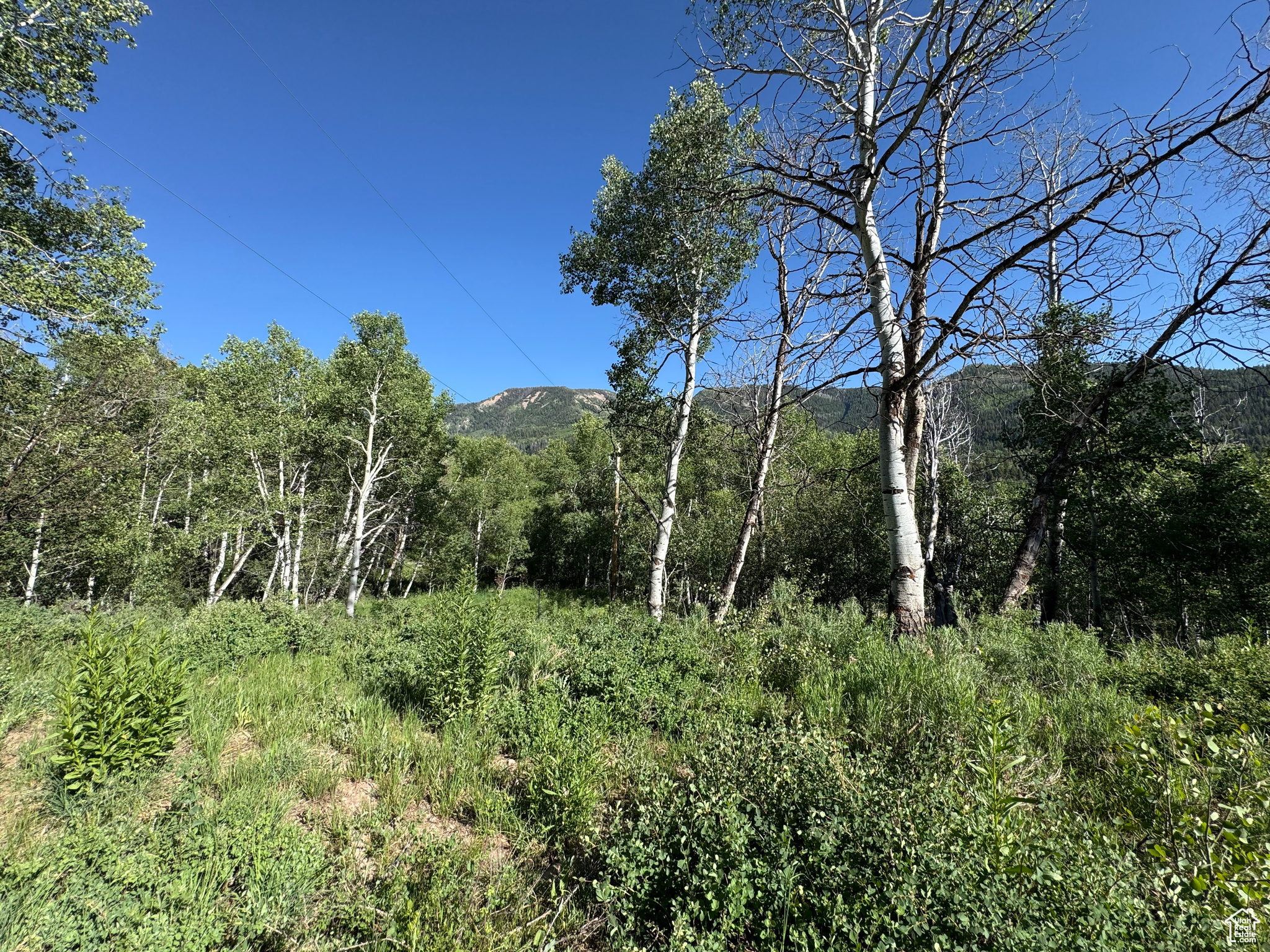 BEAVER SPRINGS - Land