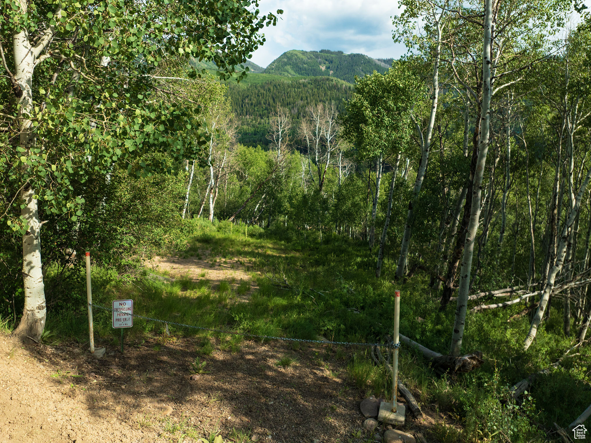 BEAVER SPRINGS - Land