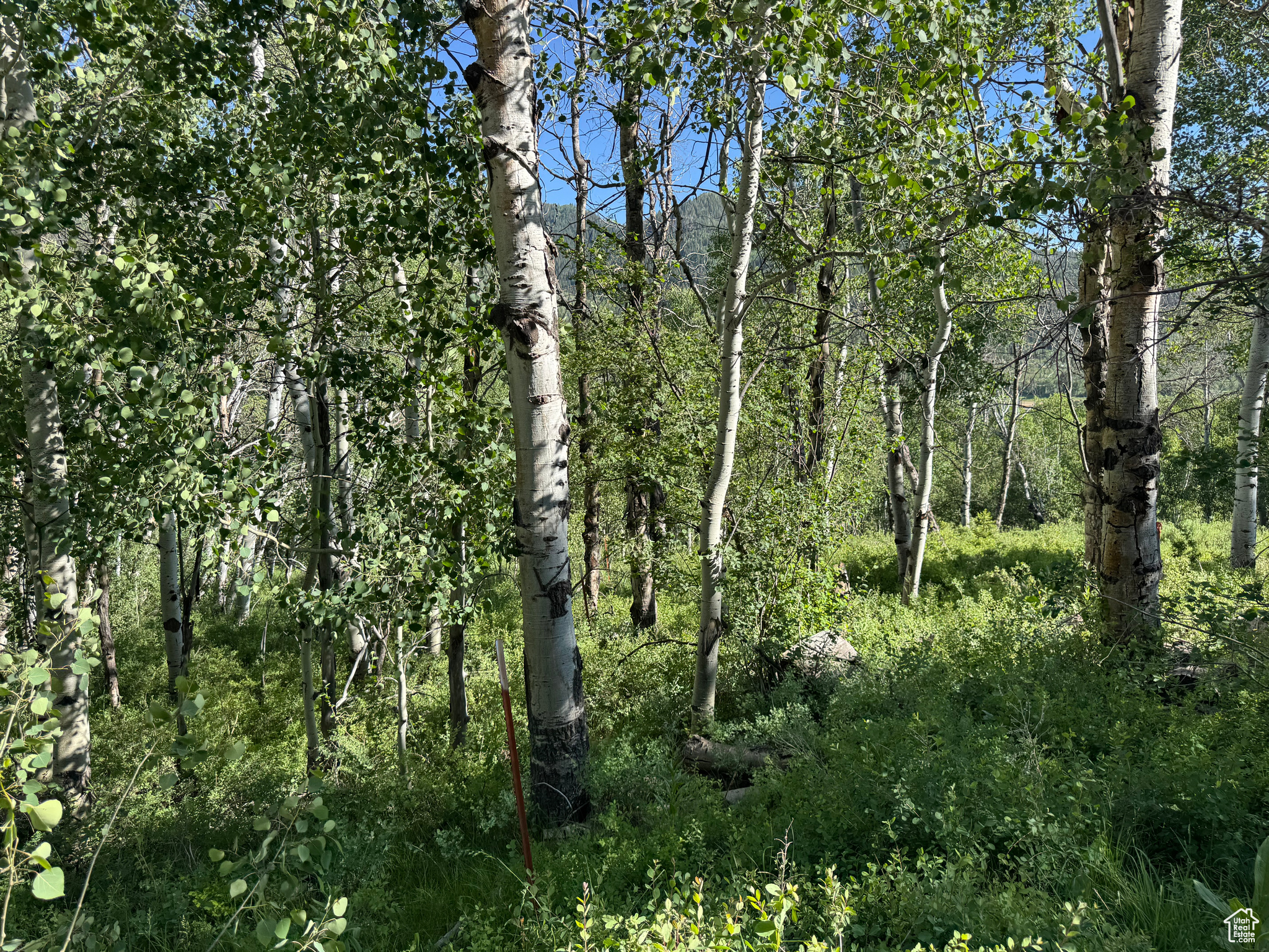 BEAVER SPRINGS - Land