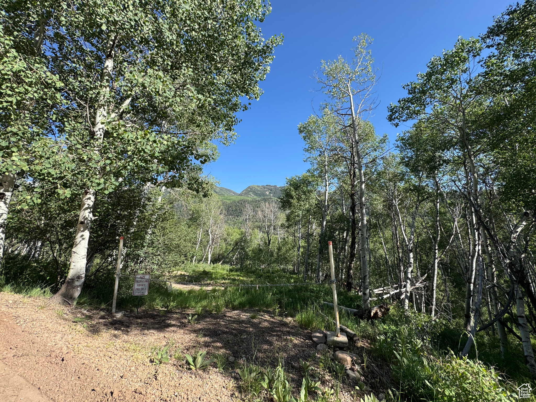 BEAVER SPRINGS - Land