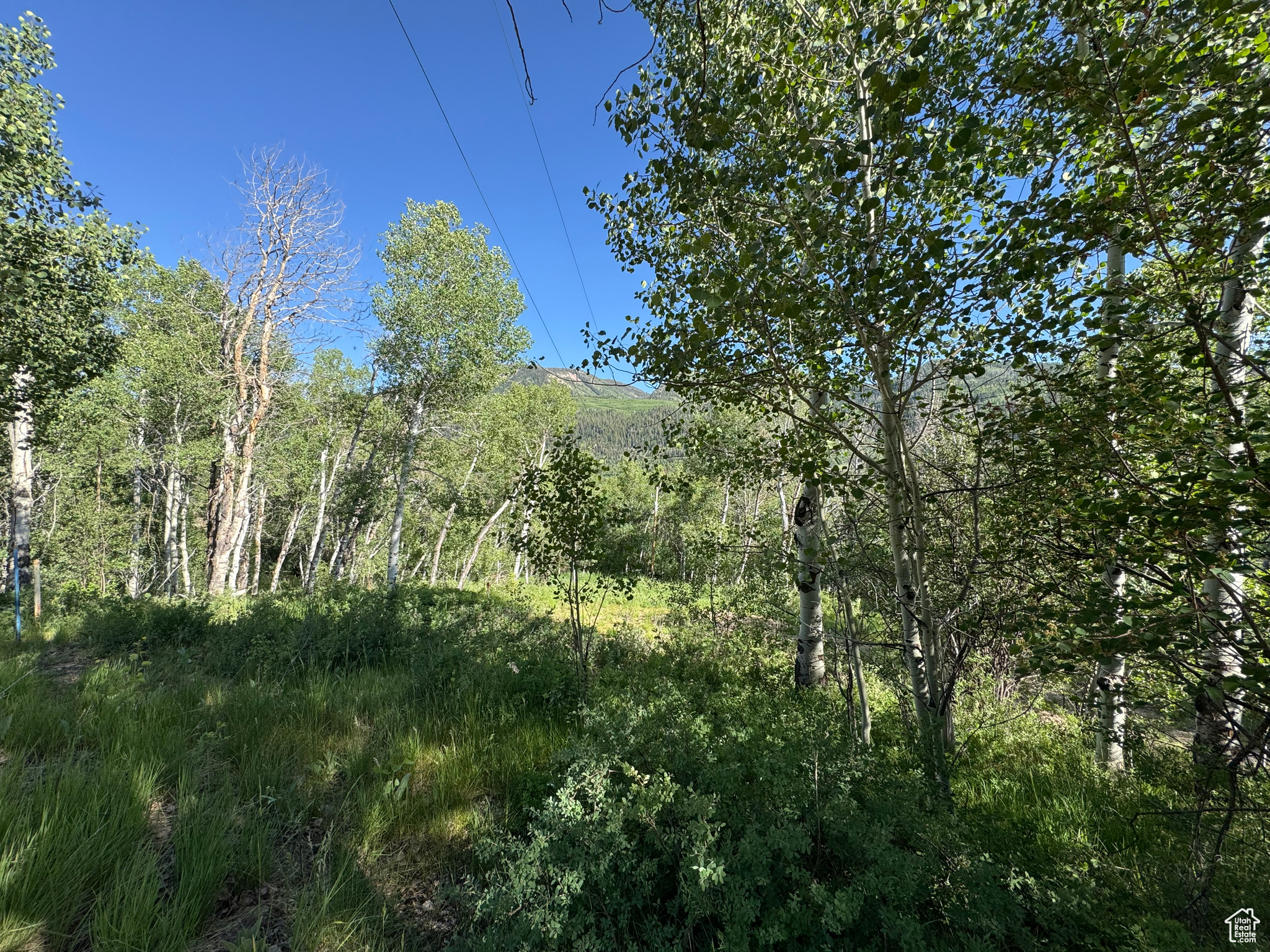 BEAVER SPRINGS - Land