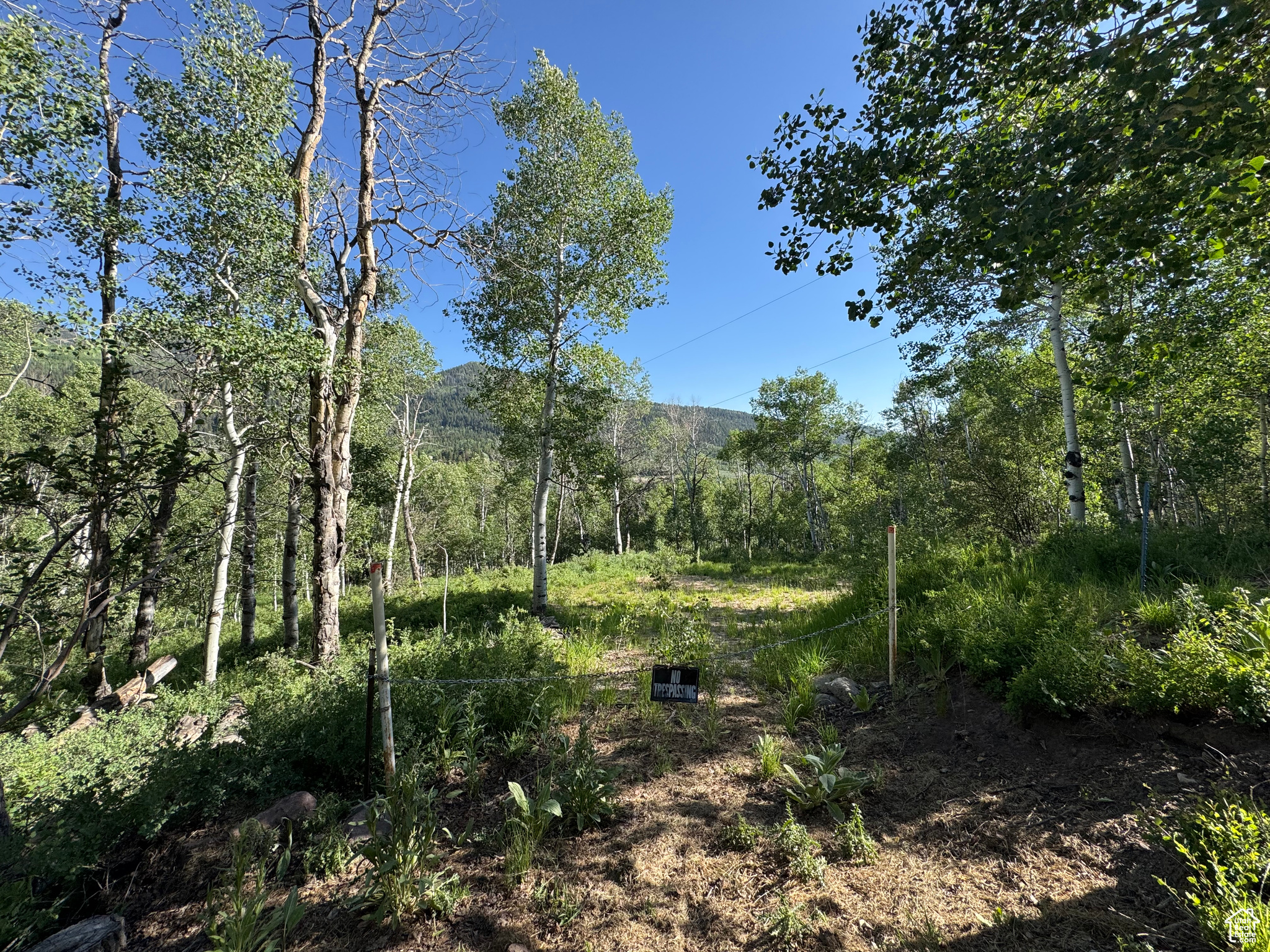 BEAVER SPRINGS - Land