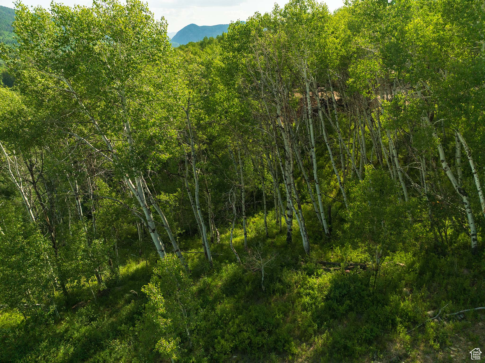 BEAVER SPRINGS - Land