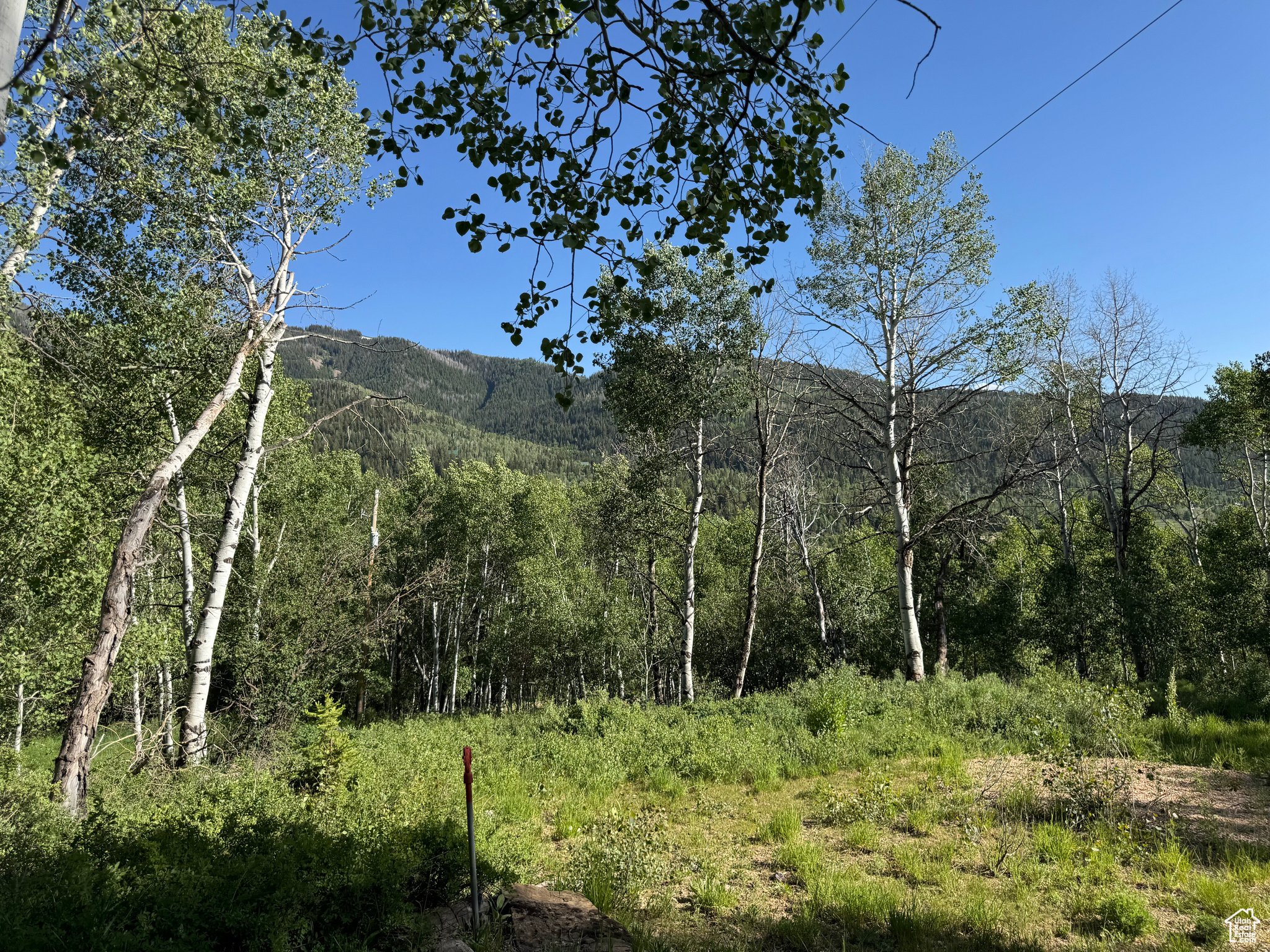 BEAVER SPRINGS - Land