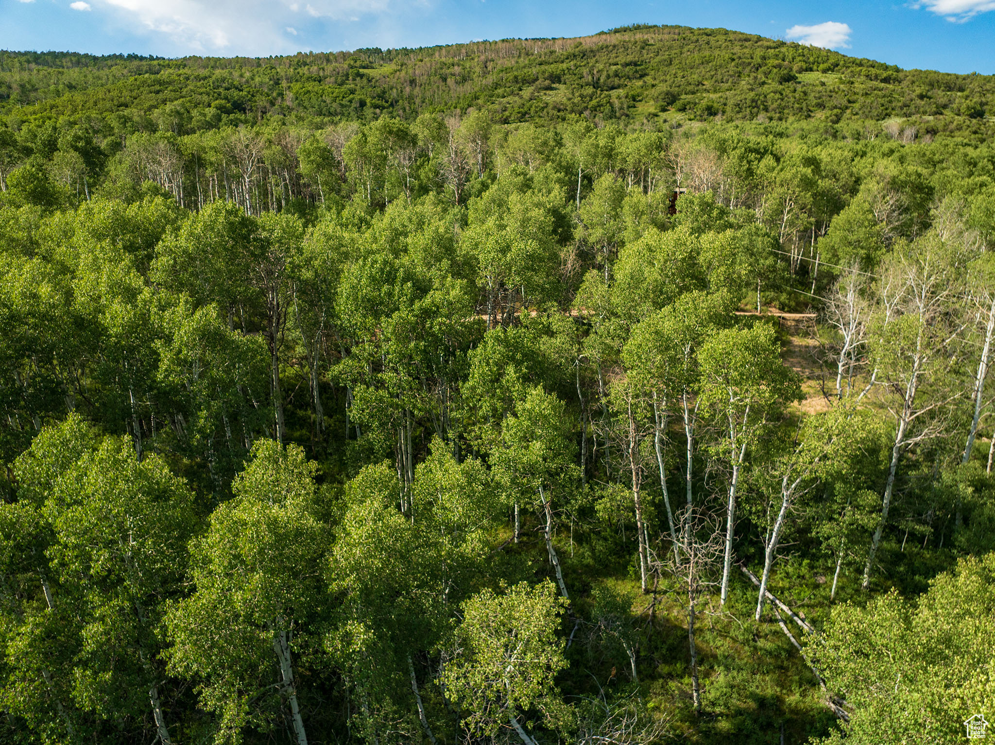 BEAVER SPRINGS - Land