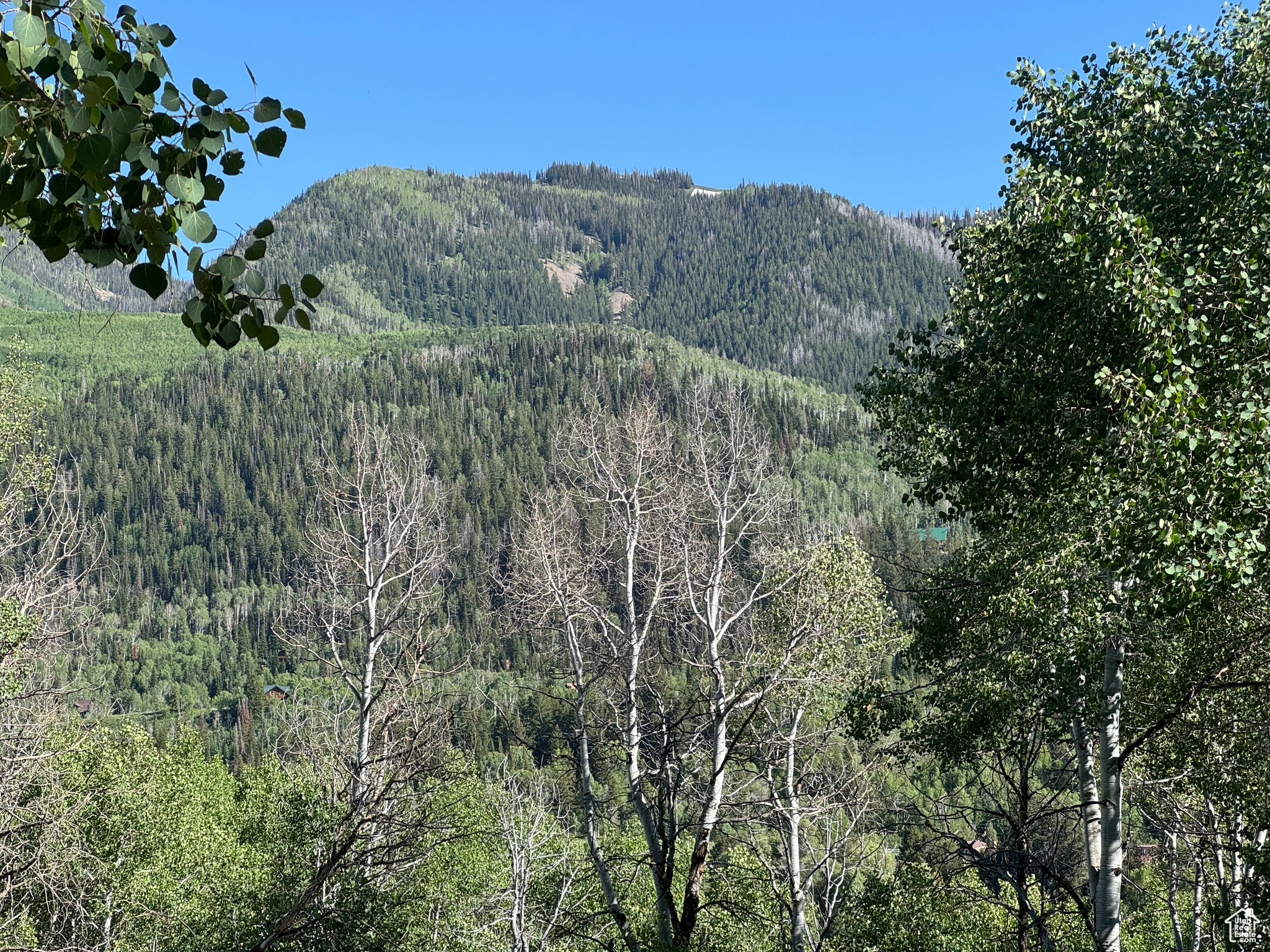 BEAVER SPRINGS - Land