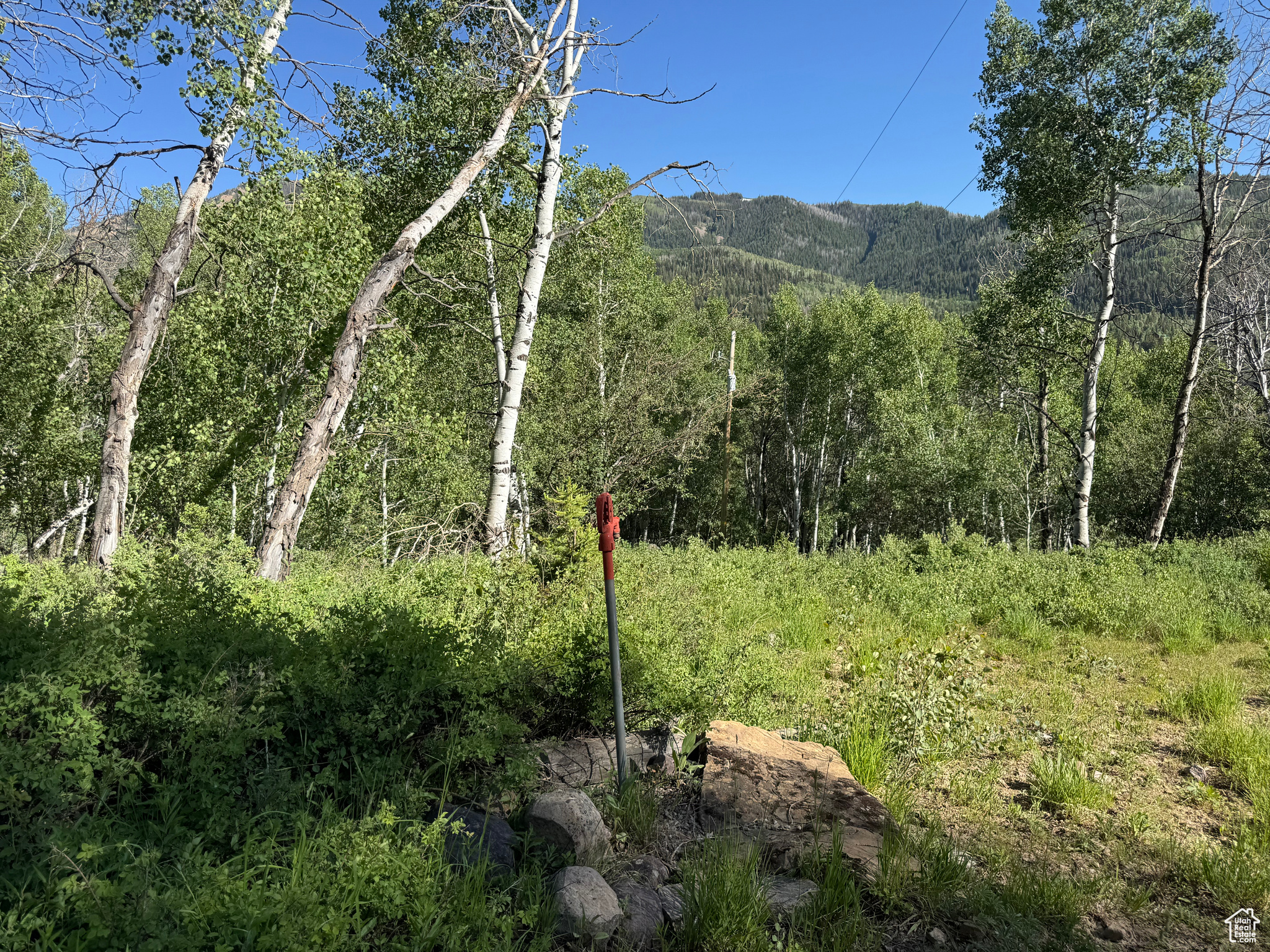 BEAVER SPRINGS - Land