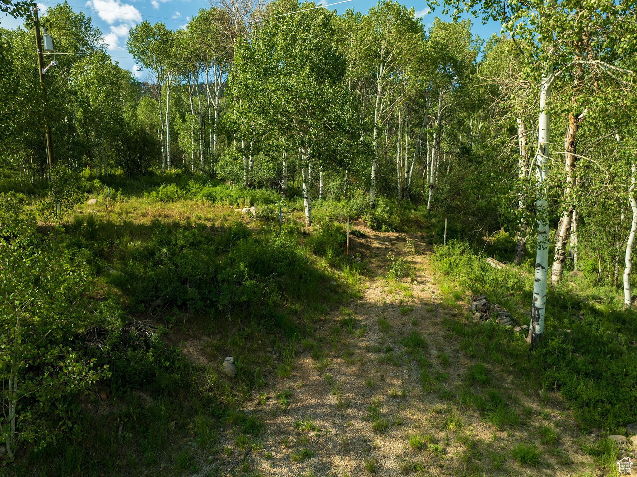 BEAVER SPRINGS - Land