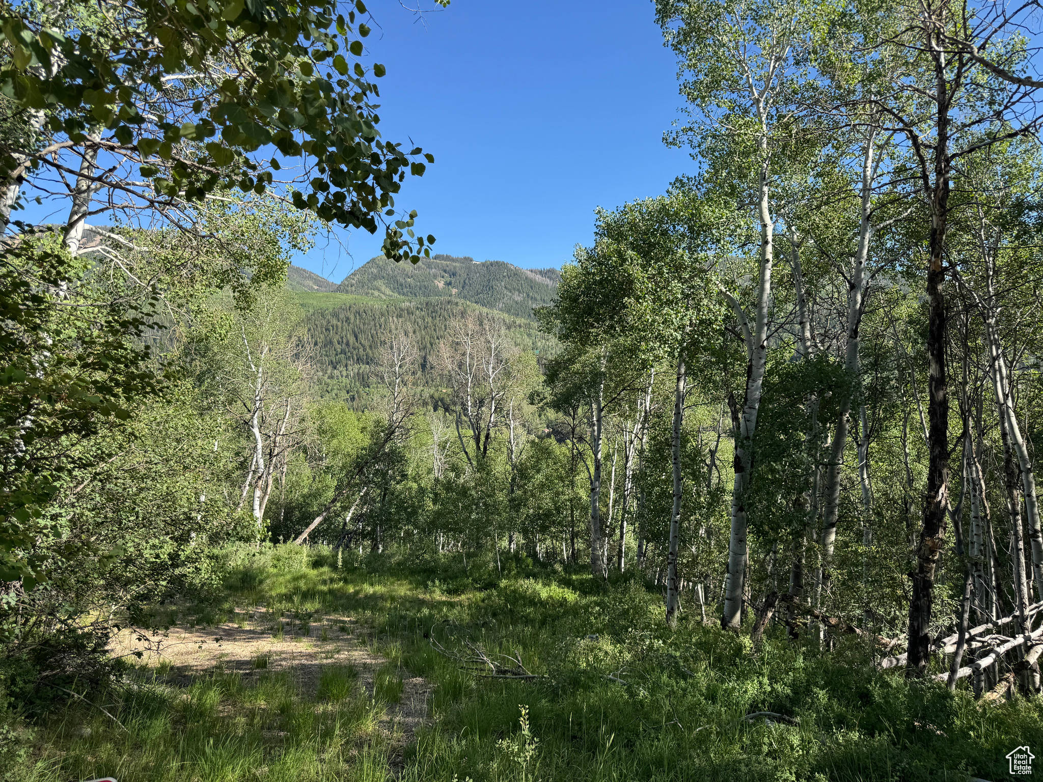 BEAVER SPRINGS - Land