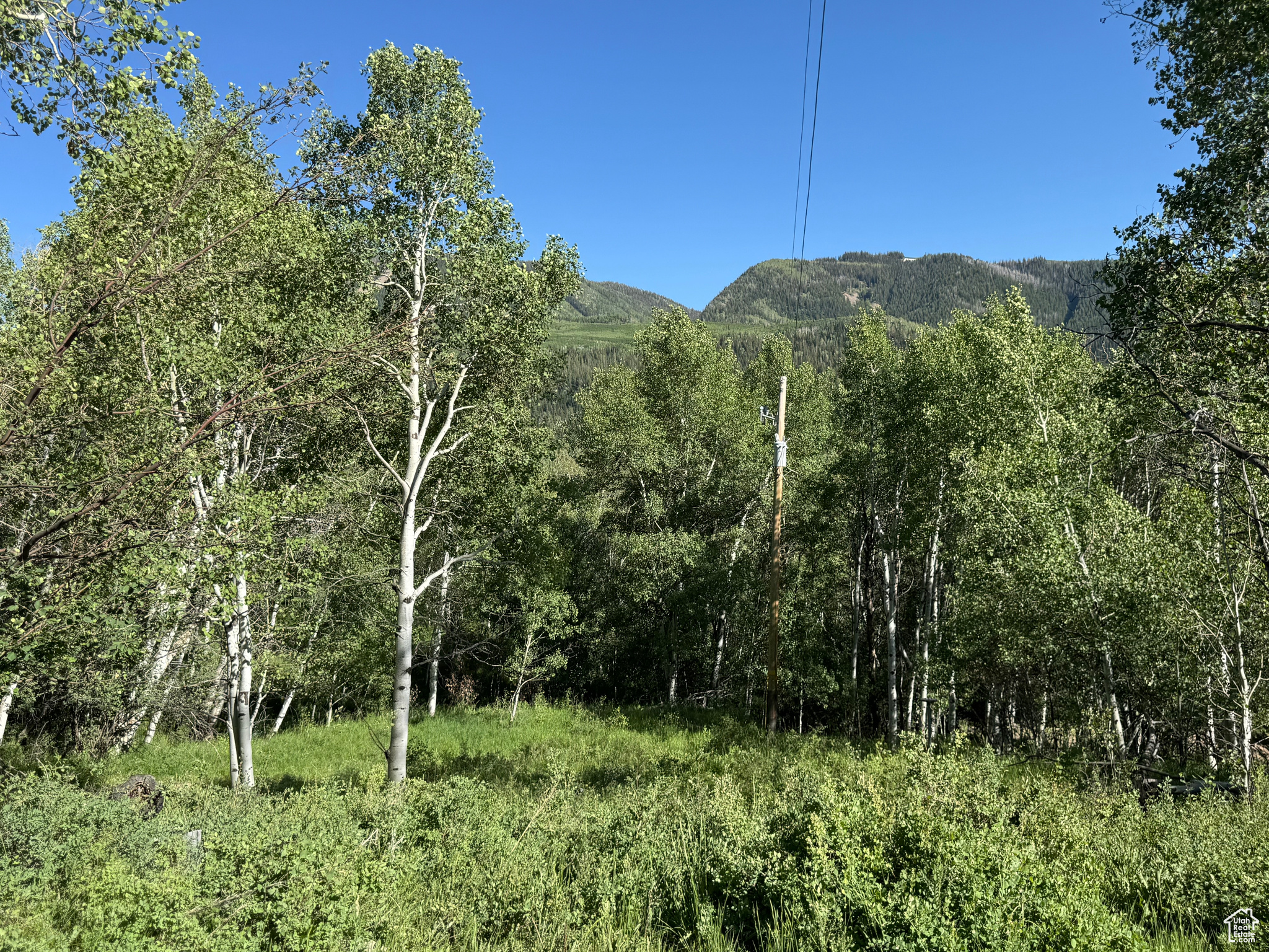 BEAVER SPRINGS - Land