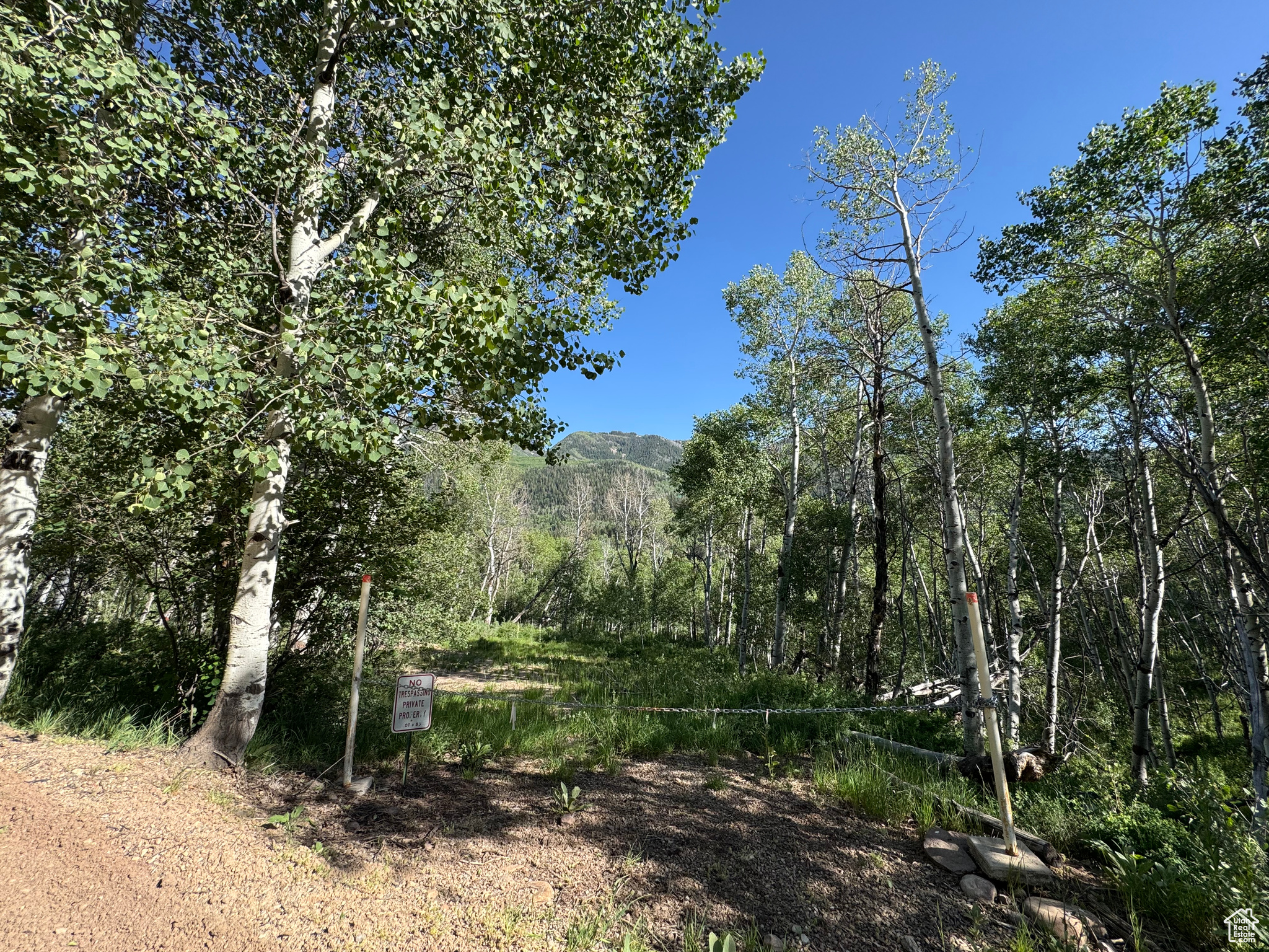 BEAVER SPRINGS - Land