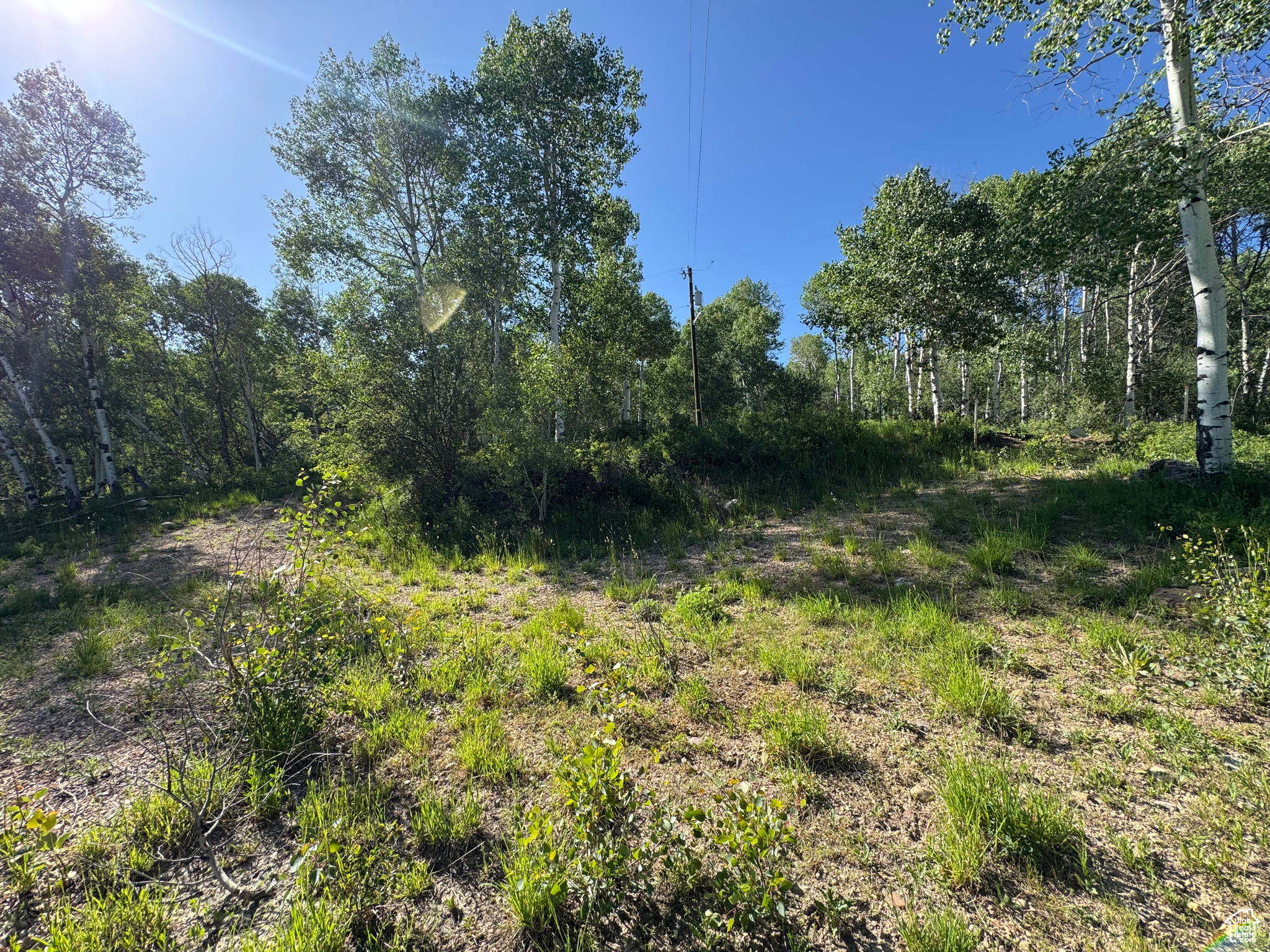 BEAVER SPRINGS - Land