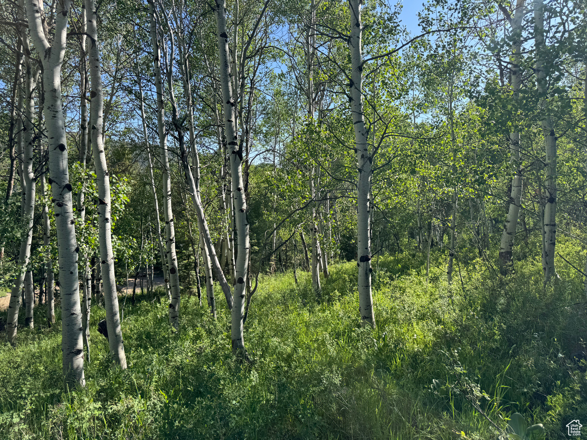 BEAVER SPRINGS - Land