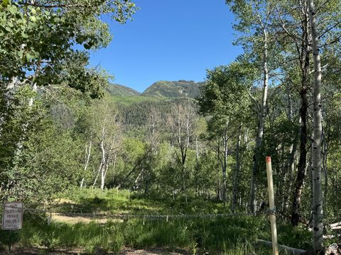 Vacant Land For Sale - 5592 Fremont Trl #85<br/> Oakley, UT 84055