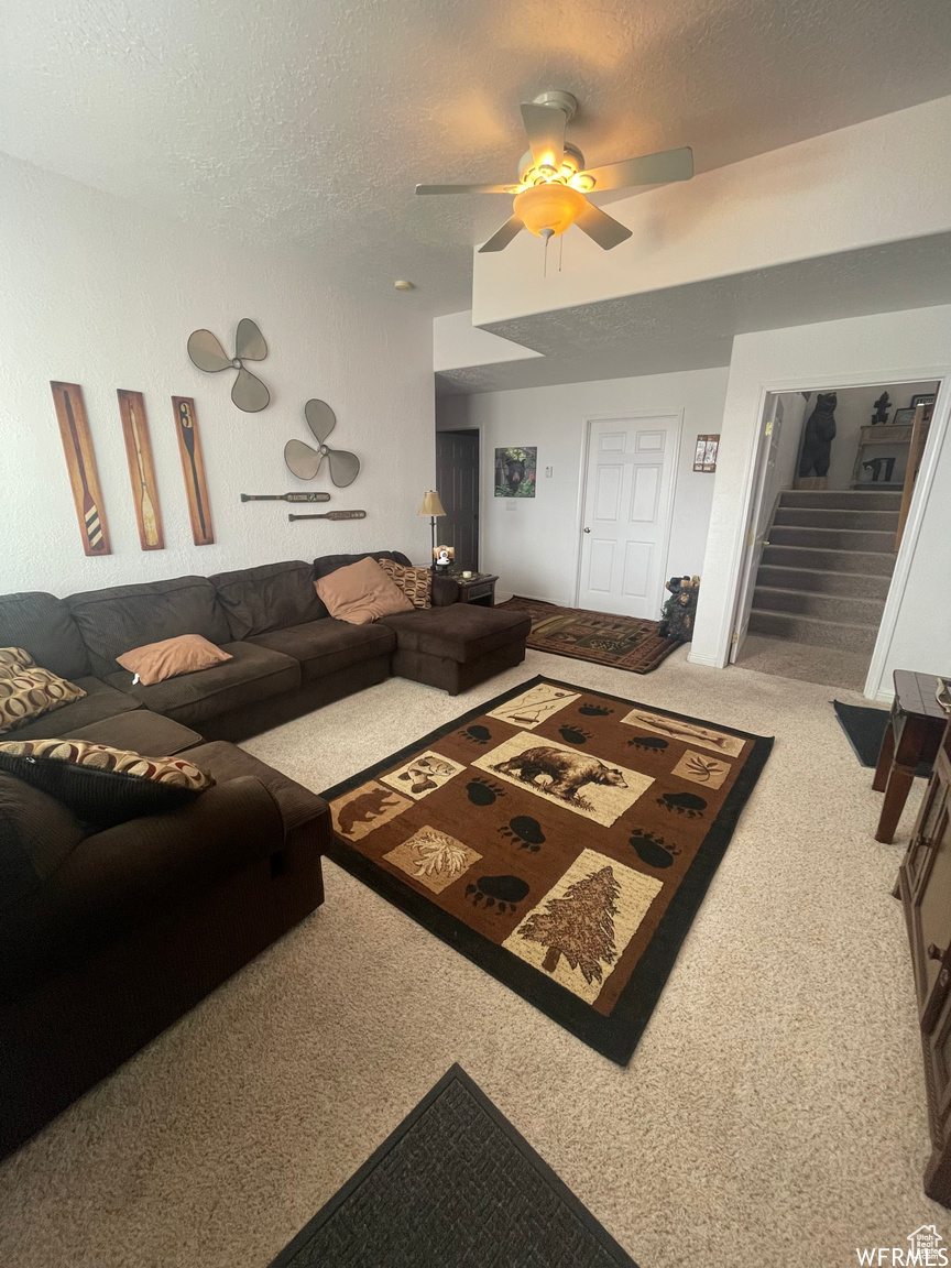 BUTTERCUP ESTATE - Residential