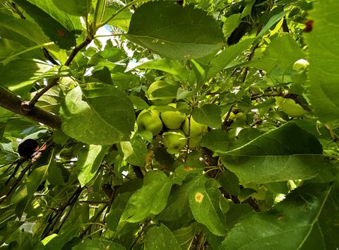 Tiny photo for 960 E SAGEHILL DR, Millcreek, UT 84124 (MLS # 2134109)