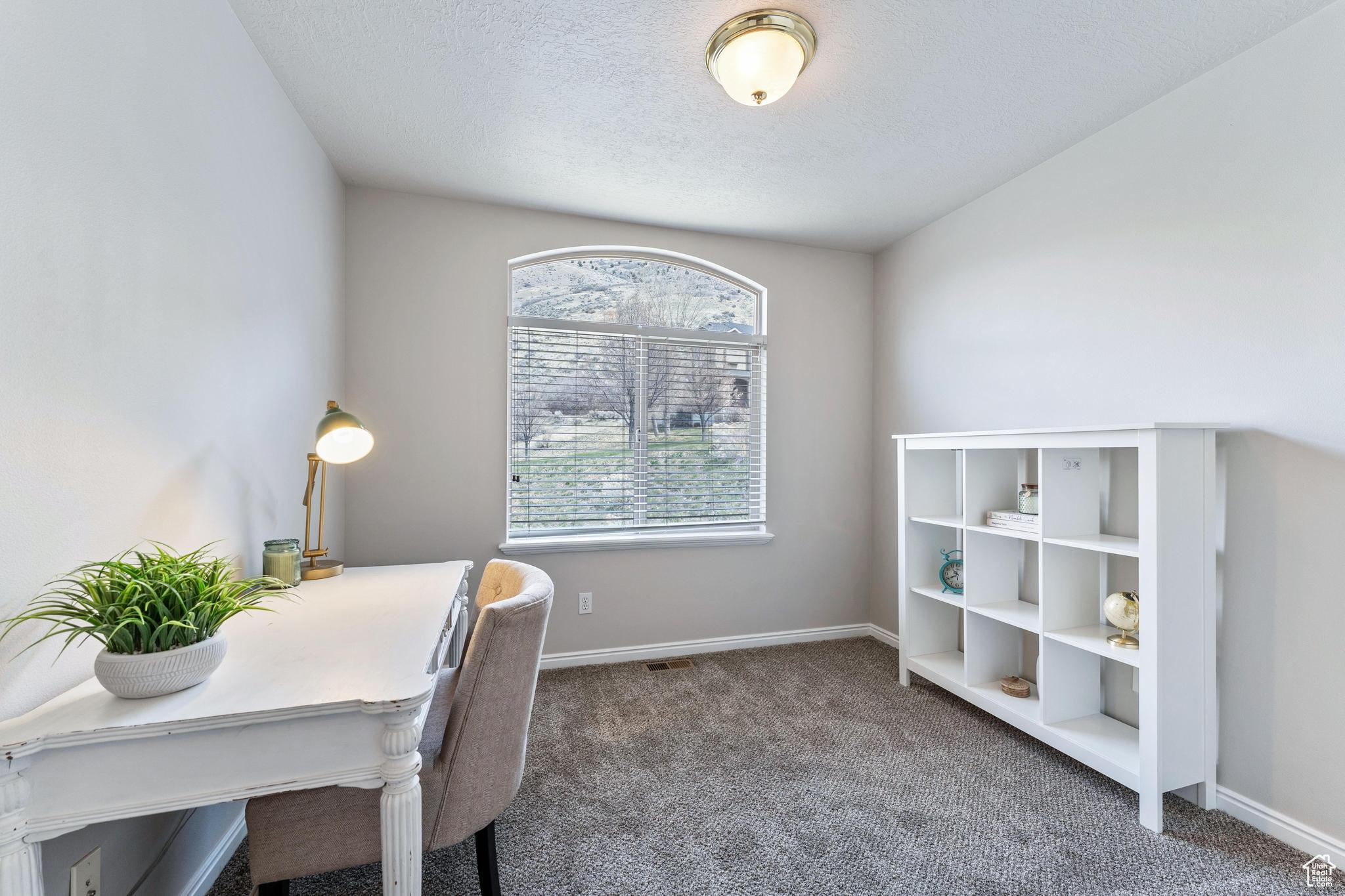 3794 W Morgan Blvd, Cedar Hills, Utah image 18