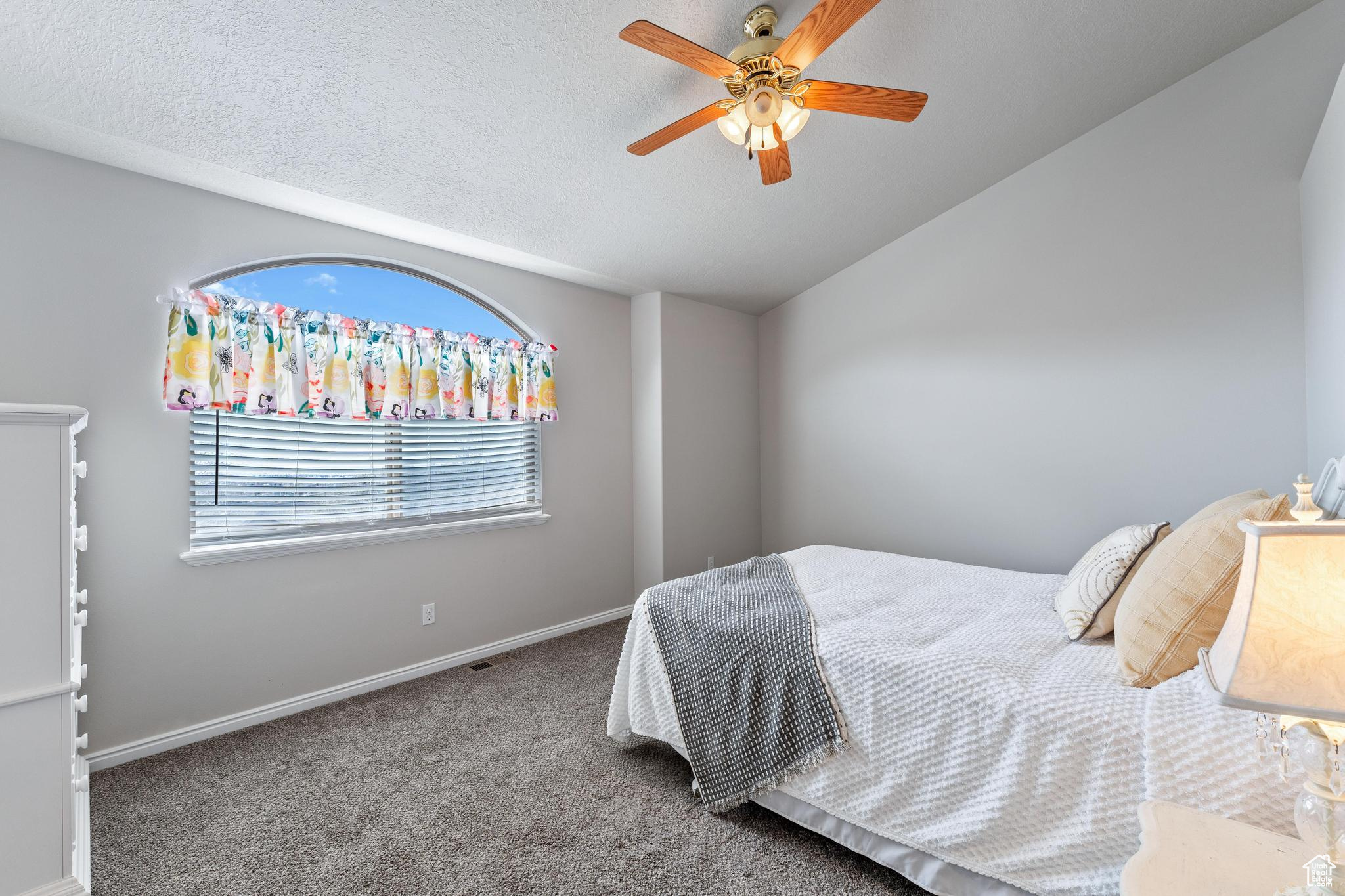 3794 W Morgan Blvd, Cedar Hills, Utah image 15