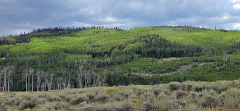 Vacant Land For Sale - #26<br/> Sevier County, Annabella, UT 84711