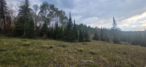 Vacant Land For Sale - #26<br/> Annabella, UT 84711