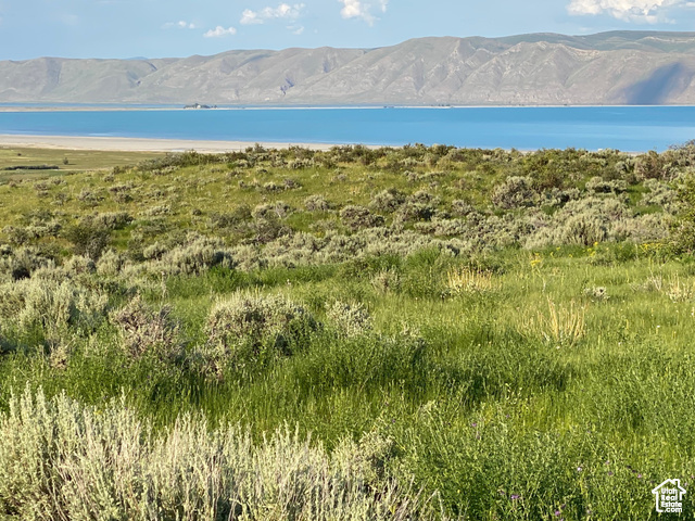 #6, Fish Haven, Idaho image 16