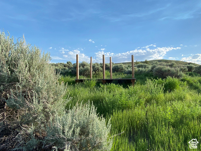 #6, Fish Haven, Idaho image 23