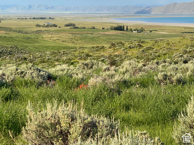 #6, Fish Haven, Idaho image 20