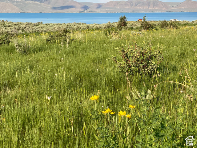 #6, Fish Haven, Idaho image 24