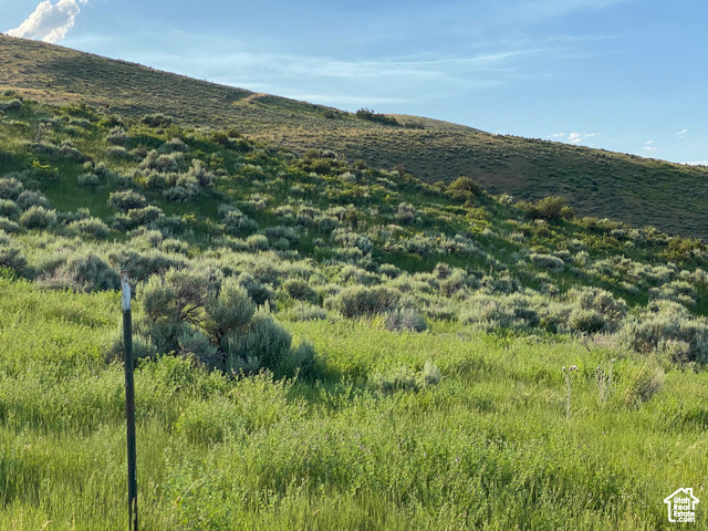 #6, Fish Haven, Idaho image 19