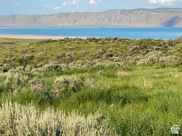 #6, Fish Haven, Idaho image 27