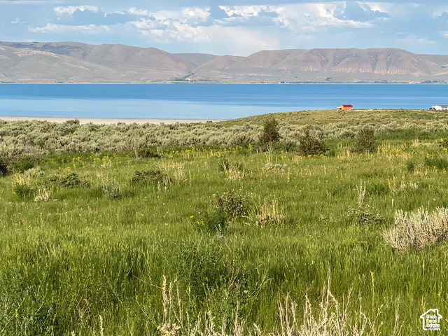 #6, Fish Haven, Idaho image 21