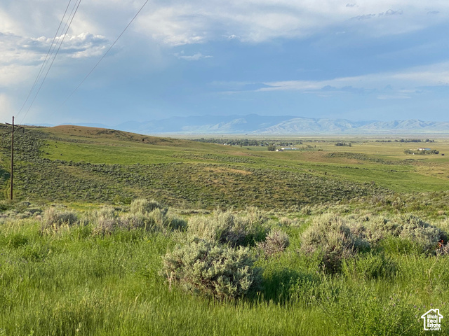 #6, Fish Haven, Idaho image 17