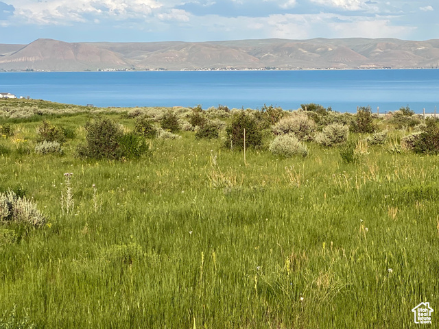#6, Fish Haven, Idaho image 13