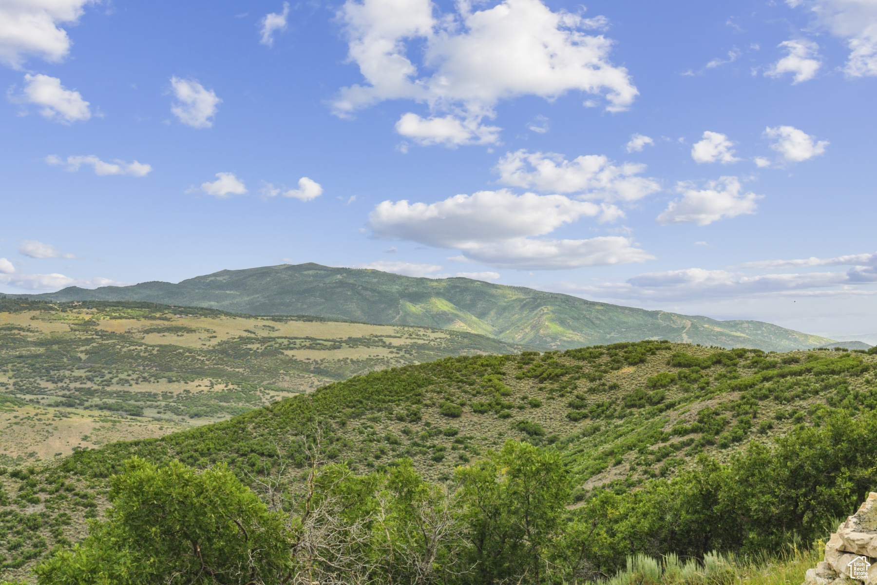 BUFFALO JUMP SUBDIVISION - Land
