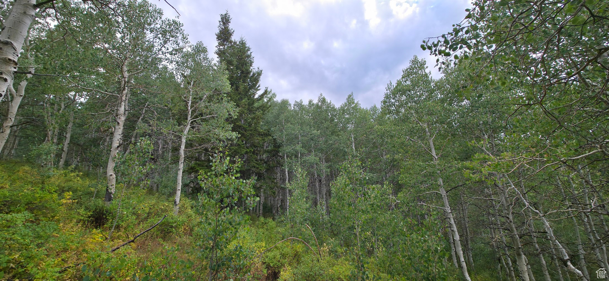 SOLDIER SUMMIT ESTATES - Land
