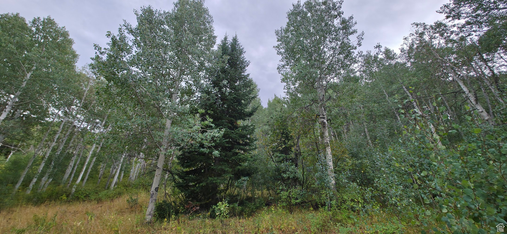 SOLDIER SUMMIT ESTATES - Land