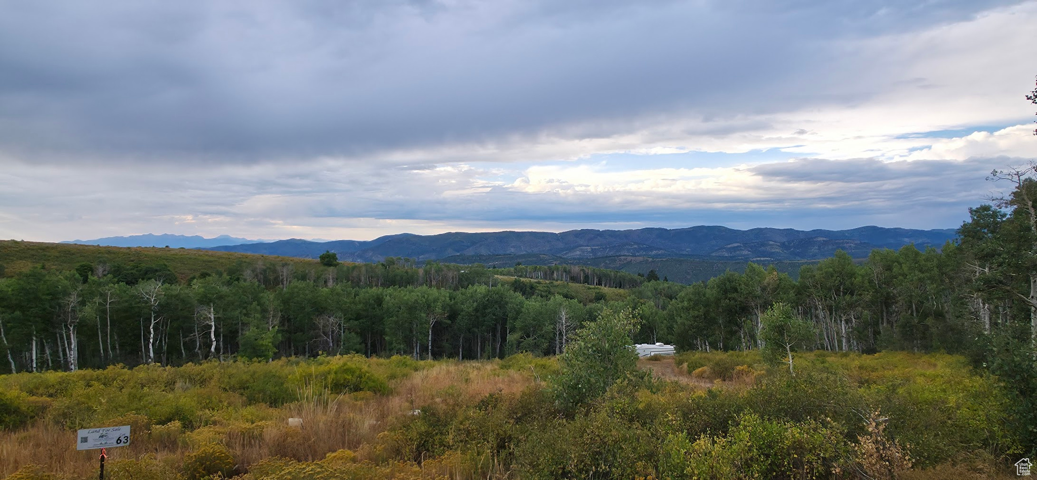Pristine Quaking Aspens Mountain Views. This 9-acre lot slopes into flat pad and land area then a slight slope to lower flat at the base. Highlights completed with this Lot D63 include Installed 200-foot 12ft wide winding gravel driveway to pad Water connected to freezeless hydrant for year round use Firepit installed Perc Test approved 3 inch power conduit line installed and run to pad. Lot D63 is ready for your retreat this year. Drive up and walk around the Lot. Boundaries are tagged with Orange tape for your preview. Note: front lot boundaries are to center of gravel road. Buyers are to verify all lot boundaries and information provided on land and MLS sites. Winter access with plowed roads. Activities are Show up to lot often and disappear from city life, ATV ventures, boating and fishing on Scofield reservoir 20 minutes away, hunting lands, snowmobiling.