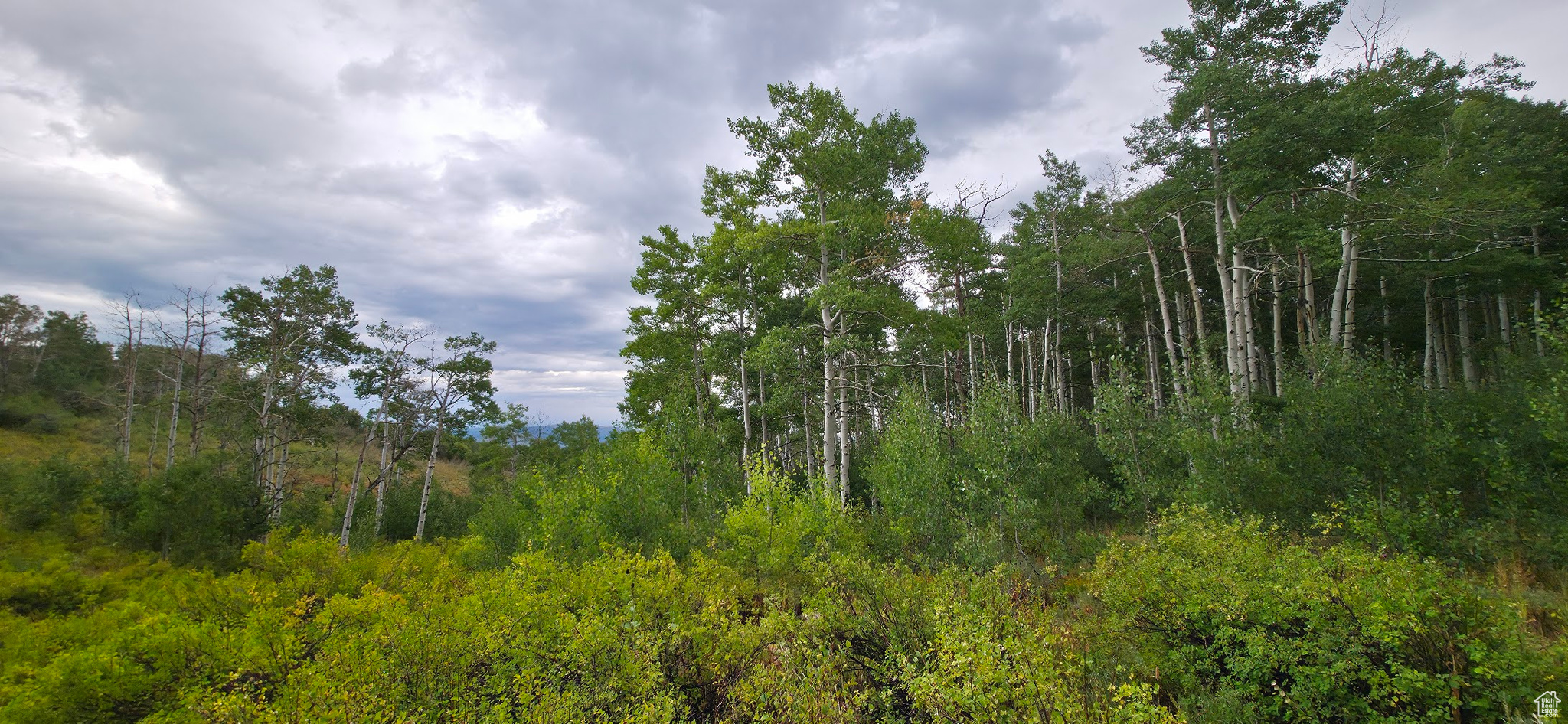 SOLDIER SUMMIT ESTATES - Land