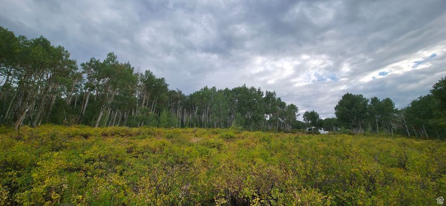 Pristine Quaking Aspens Mountain Views. This 9-acre lot slopes into flat pad and land area  then a slight slope to lower flat at the base. Highlights completed with this Lot D63 include  Installed 200-foot 12ft wide  winding gravel driveway to pad  Water connected to freezeless hydrant for year round use  Firepit installed  Perc Test approved  3  inch power conduit line installed and run to pad. Lot D63 is ready for your retreat this year. Drive up and walk around the Lot. Boundaries are tagged with Orange tape for your preview. Note: front lot boundaries are to center of gravel road. Buyers are to verify all lot boundaries and information provided on land and MLS sites. Winter access with plowed roads. Activities are  Show up to lot often and disappear from city life, ATV ventures, boating and fishing on Scofield reservoir 20 minutes away, hunting lands, snowmobiling.